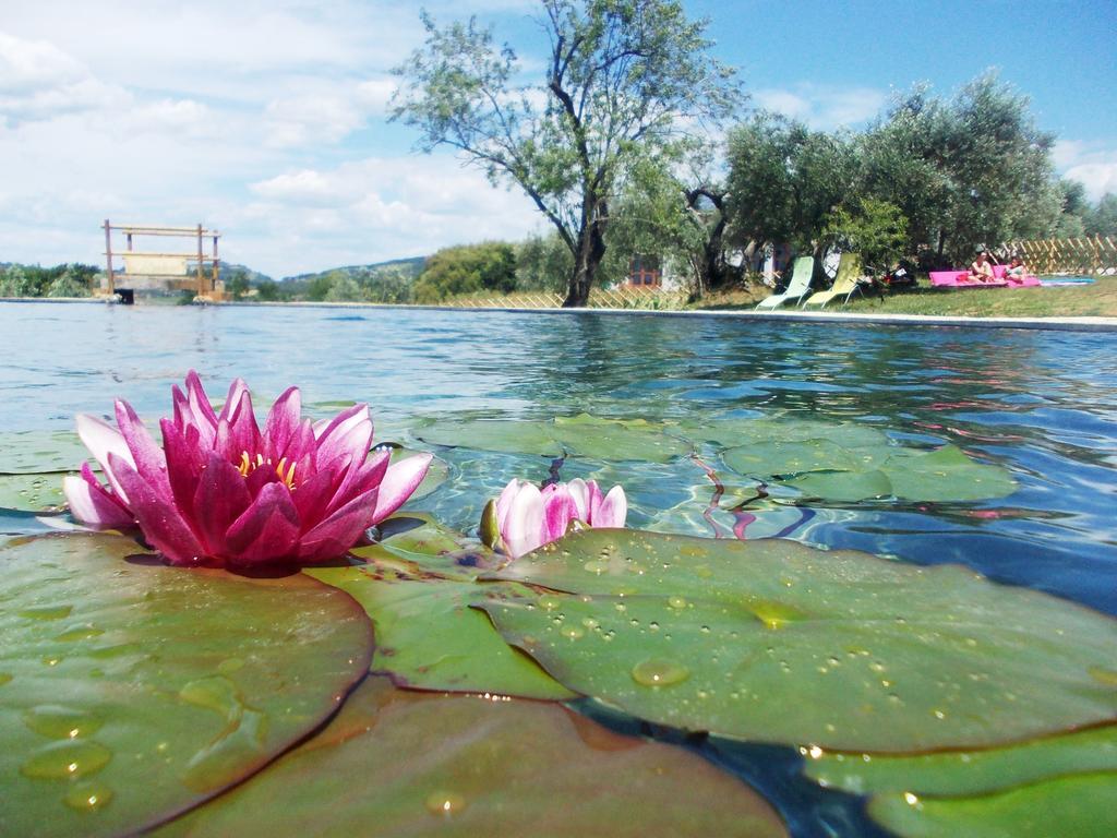 Agriturismo Il Poderino بيبونا المظهر الخارجي الصورة