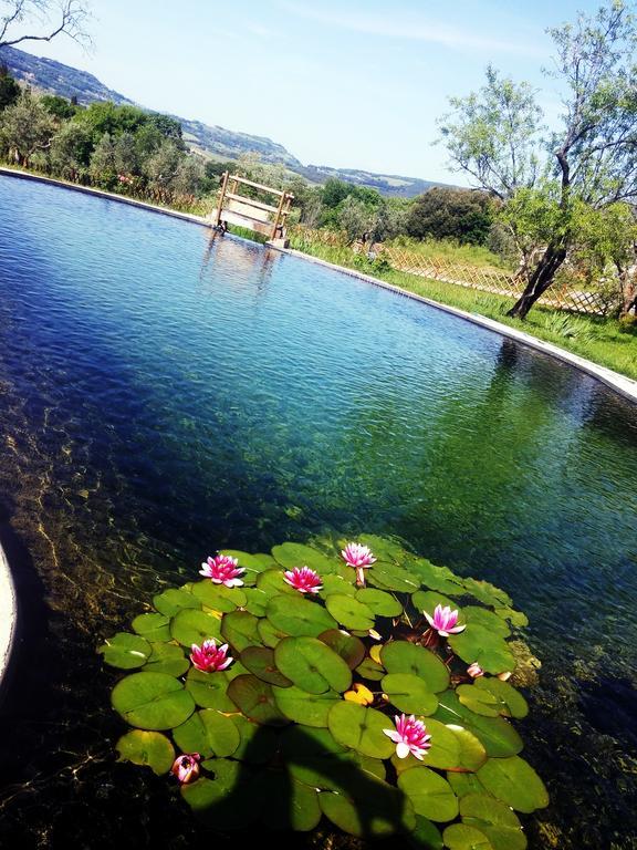 Agriturismo Il Poderino بيبونا المظهر الخارجي الصورة