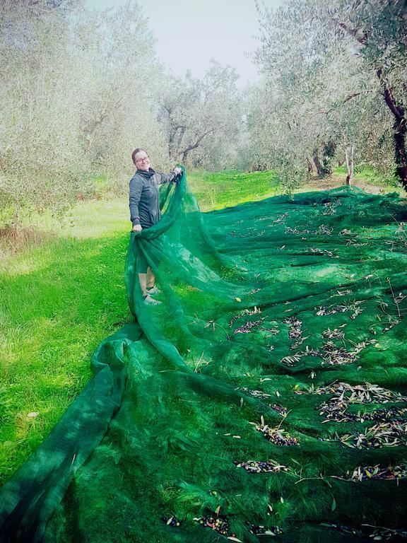 Agriturismo Il Poderino بيبونا المظهر الخارجي الصورة
